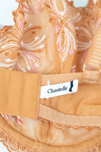 CHANTELLE x Orange And Pink Lace Bra (34E)