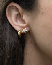 Load image into Gallery viewer, COACH x Starfish Rhinestone Studs