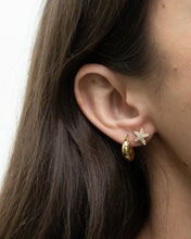 Load image into Gallery viewer, COACH x Starfish Rhinestone Studs