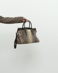 COACH x Snakeskin Leather Purse