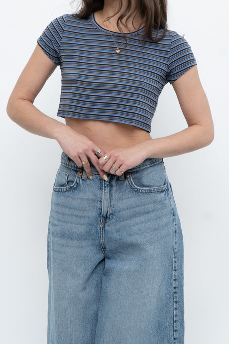 Vintage x Blue, Brown Striped Cropped Baby Tee (XS, S)